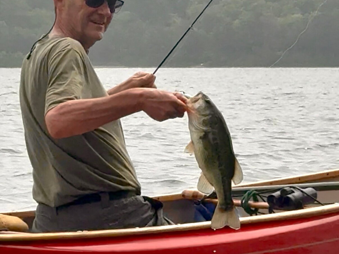 Gull Cottage Bed & Breakfast主图