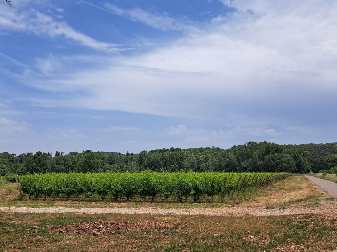 Château La Martinette-洛尔格必去景点