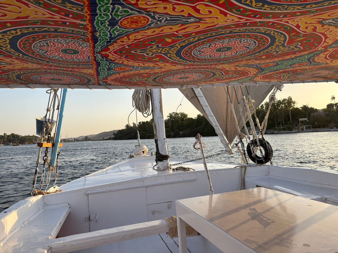 Nile Crocodile Felucca Tour-亚斯文必去景点