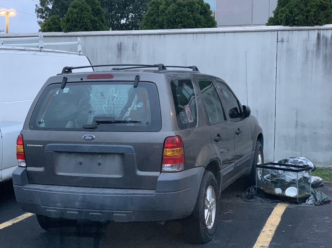 Super 8 by Wyndham Winchester VA主图