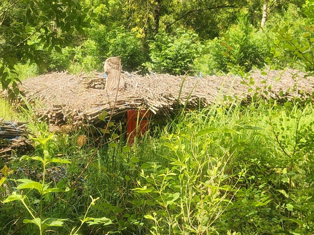 Réserve des Huttes-Nalliers必去景点