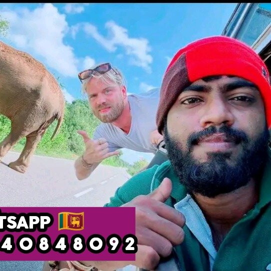 Yala Mk Safari Tour & Taxi Service-蒂瑟默哈拉默必去景点