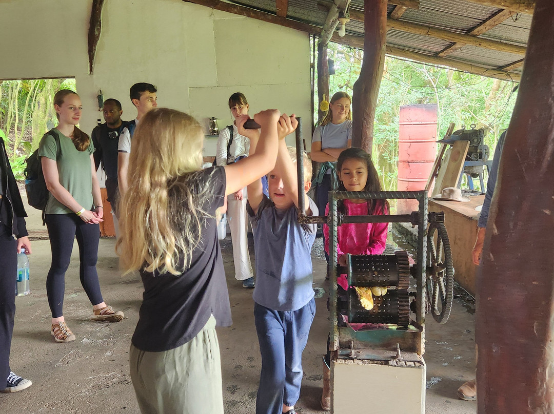 Equus Monteverde-Alto Cebadilla必去景点