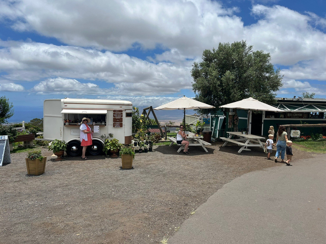 Kula Country Farms-库拉必去景点