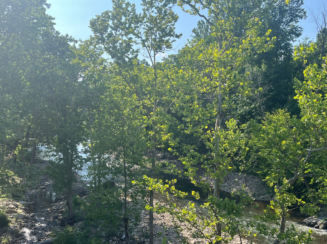 Damascus Old Mill Inn主图