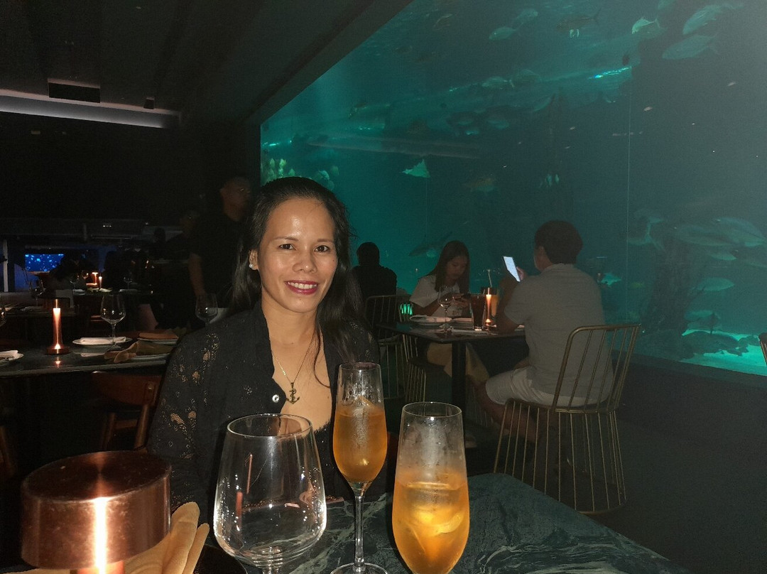 Aquadining At Cebu Ocean Park