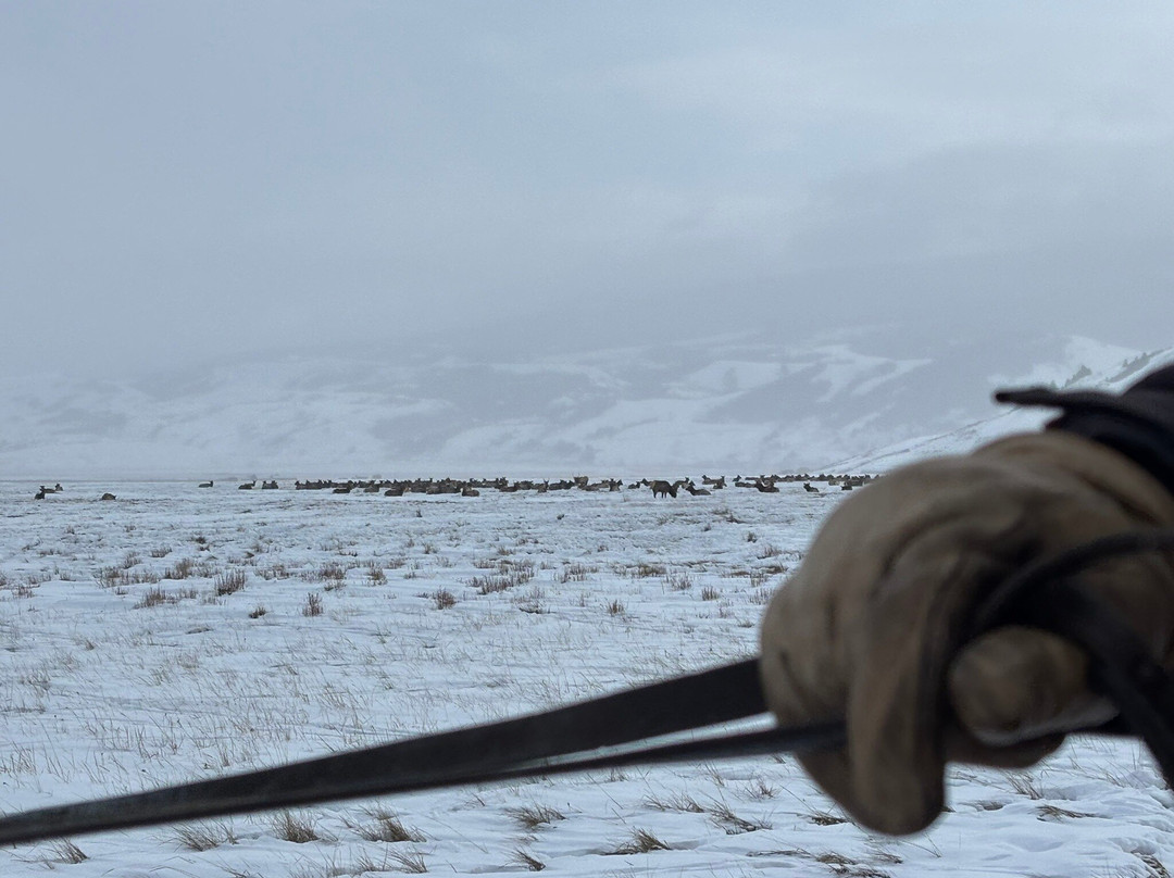 国家麋鹿保护区-杰克逊必去景点