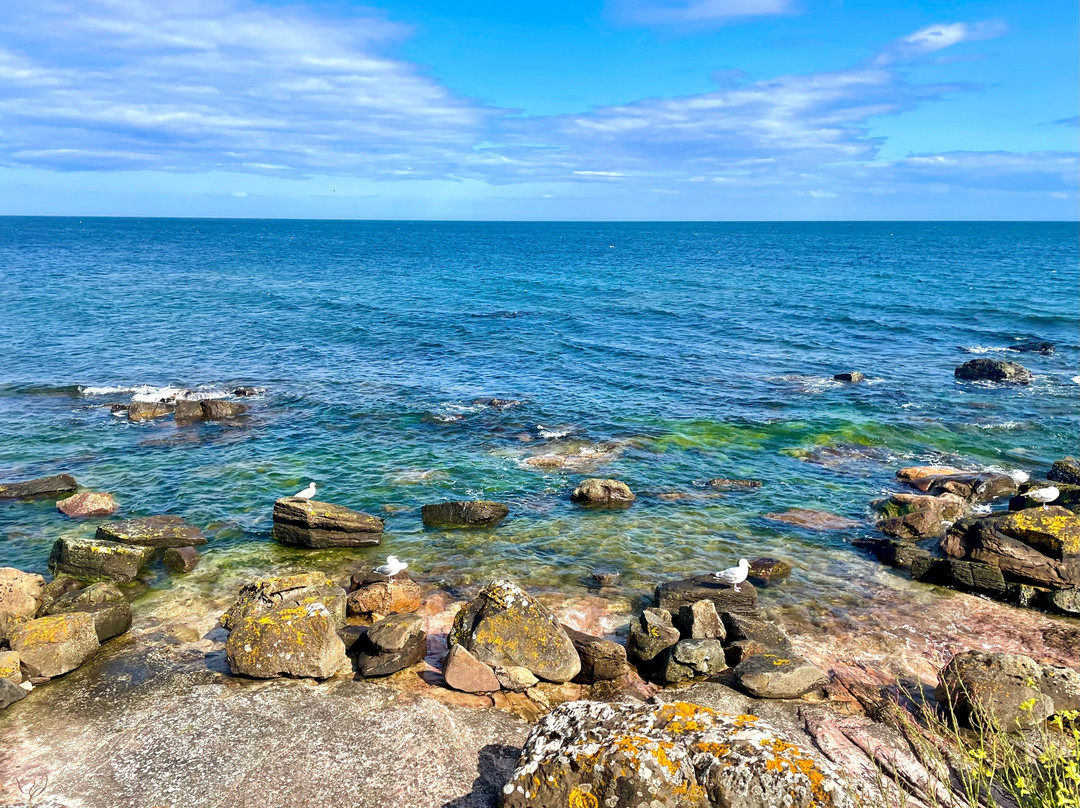Fife Coastal Path-法夫郡必去景点