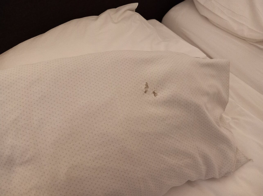 Parkhotel Wallberg主图