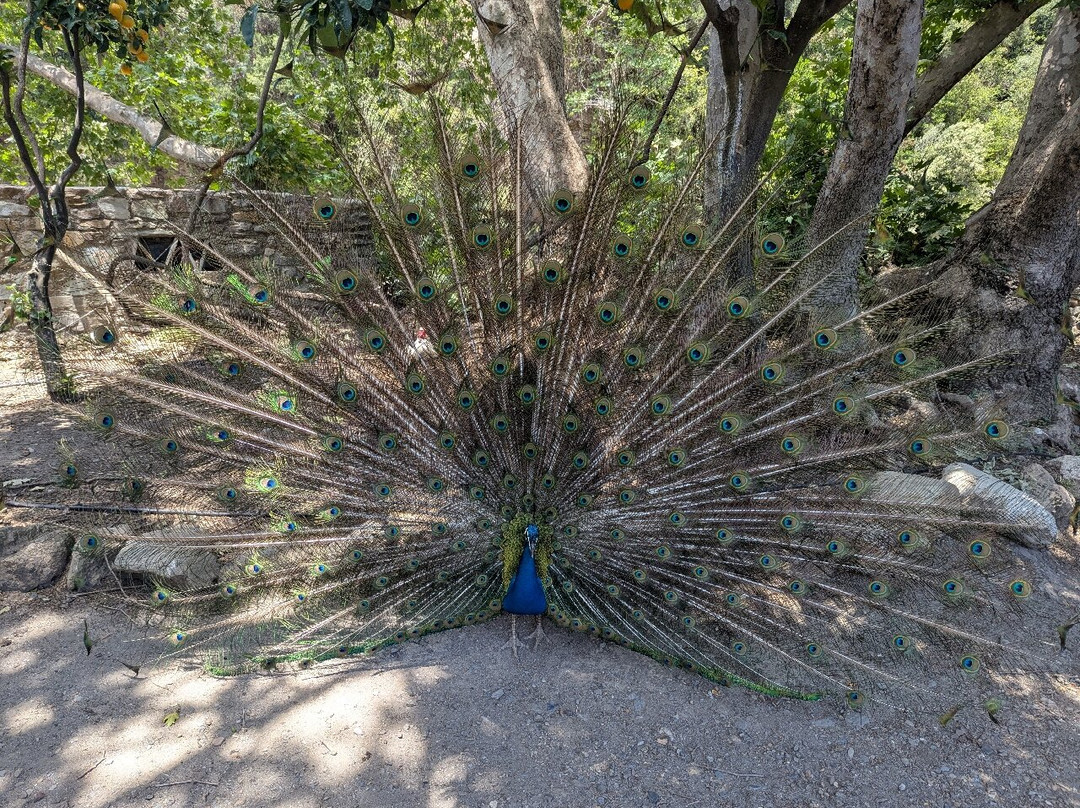 Botanical Park & Gardens of Crete