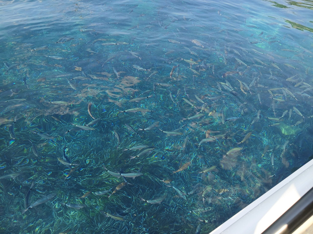 Fontas Boats Boat Rental-Nissaki必去景点