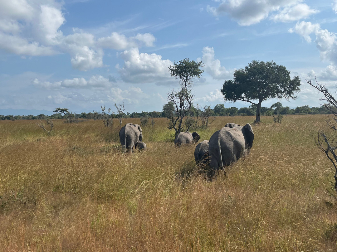 Kasaka Tours-Dar es Salaam必去景点