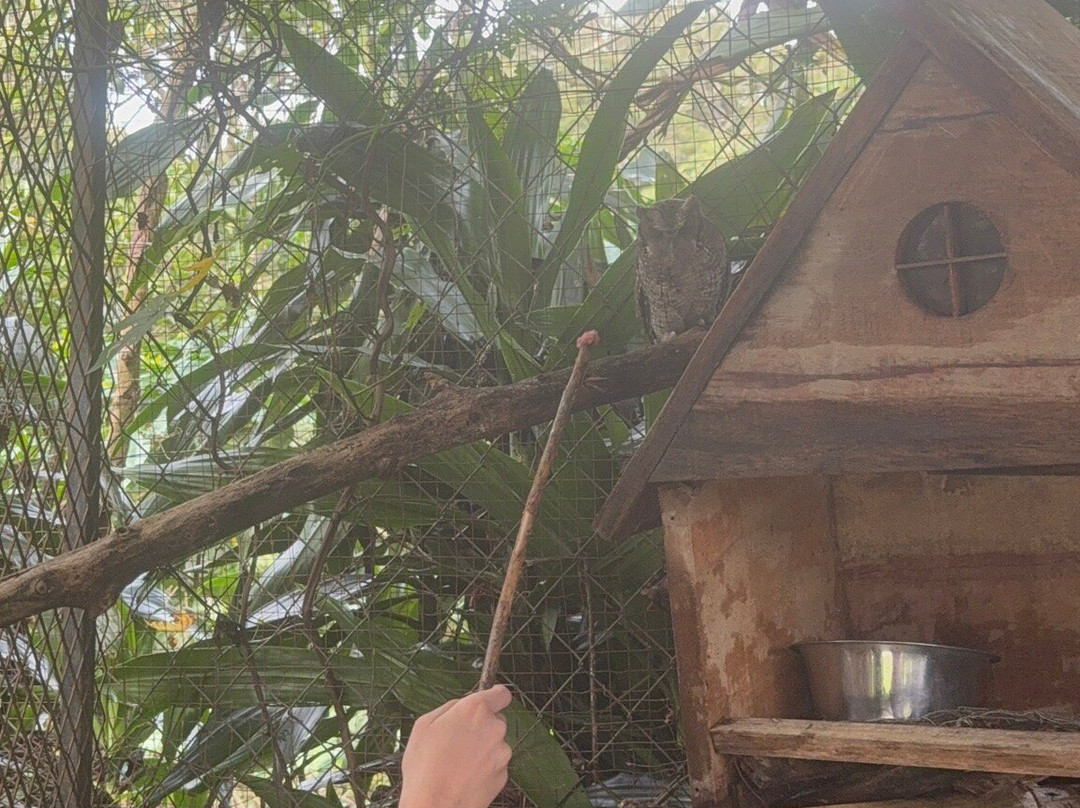 Jungla de Panama Wildlife Refuge-波魁特必去景点