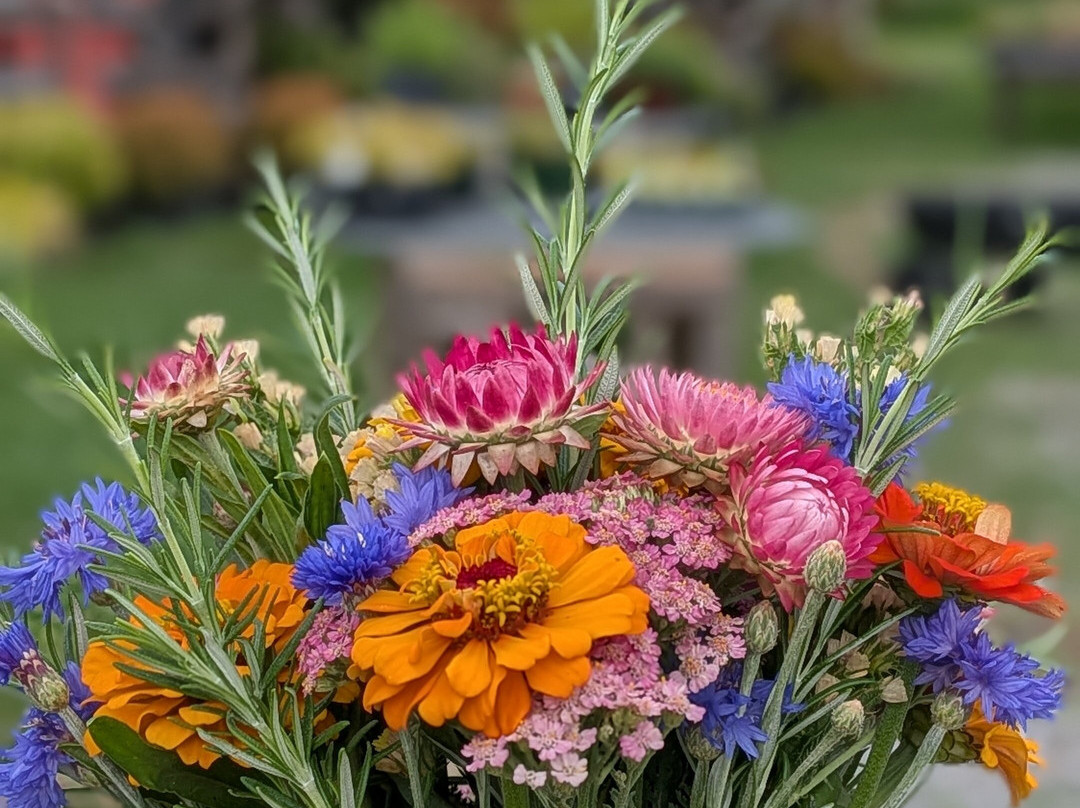 Red Dog Ridge Farms-Rogersville必去景点