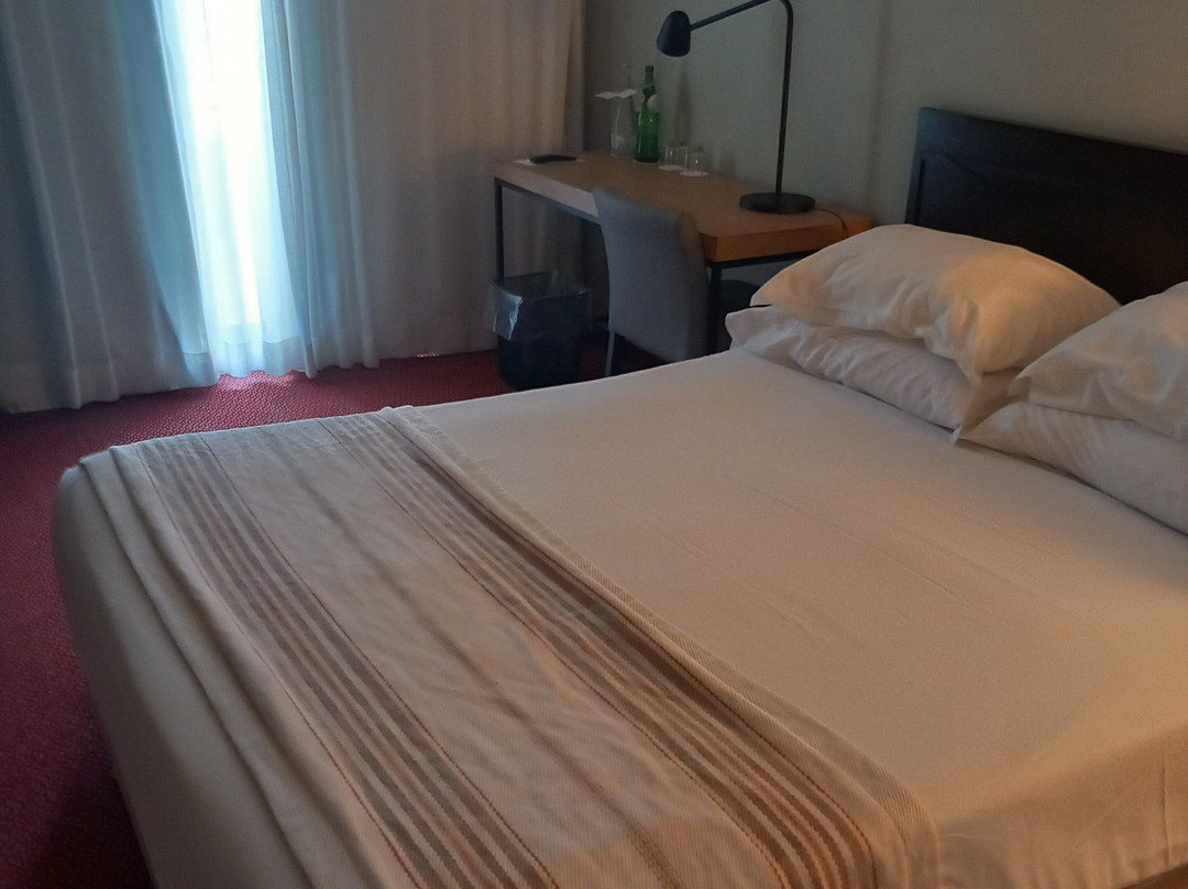 埃武拉酒店主图