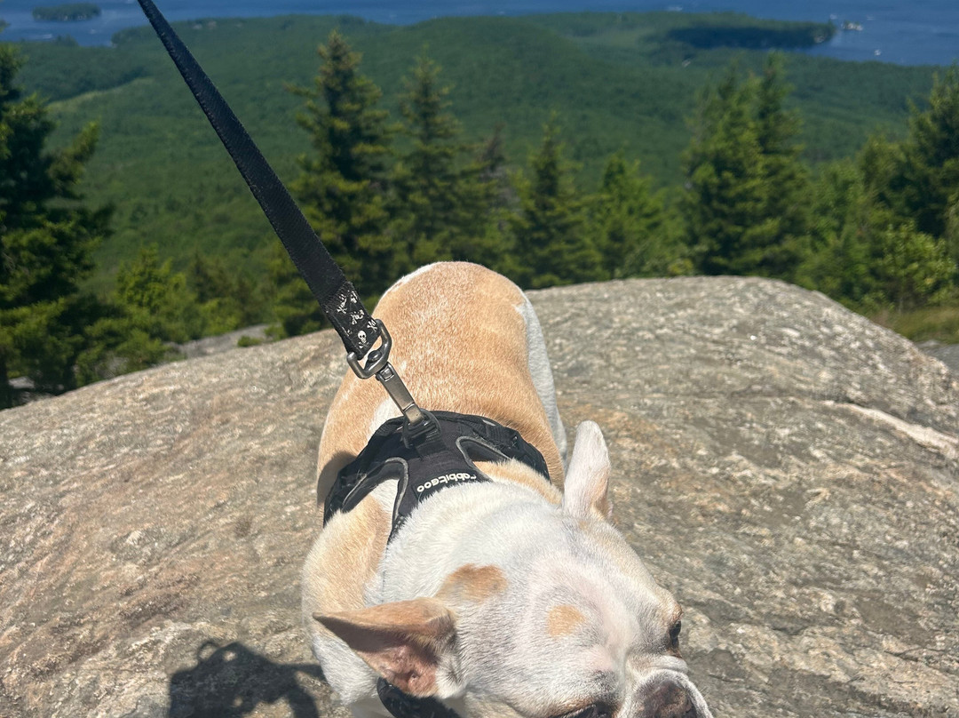 Mount Major-Alton Bay必去景点