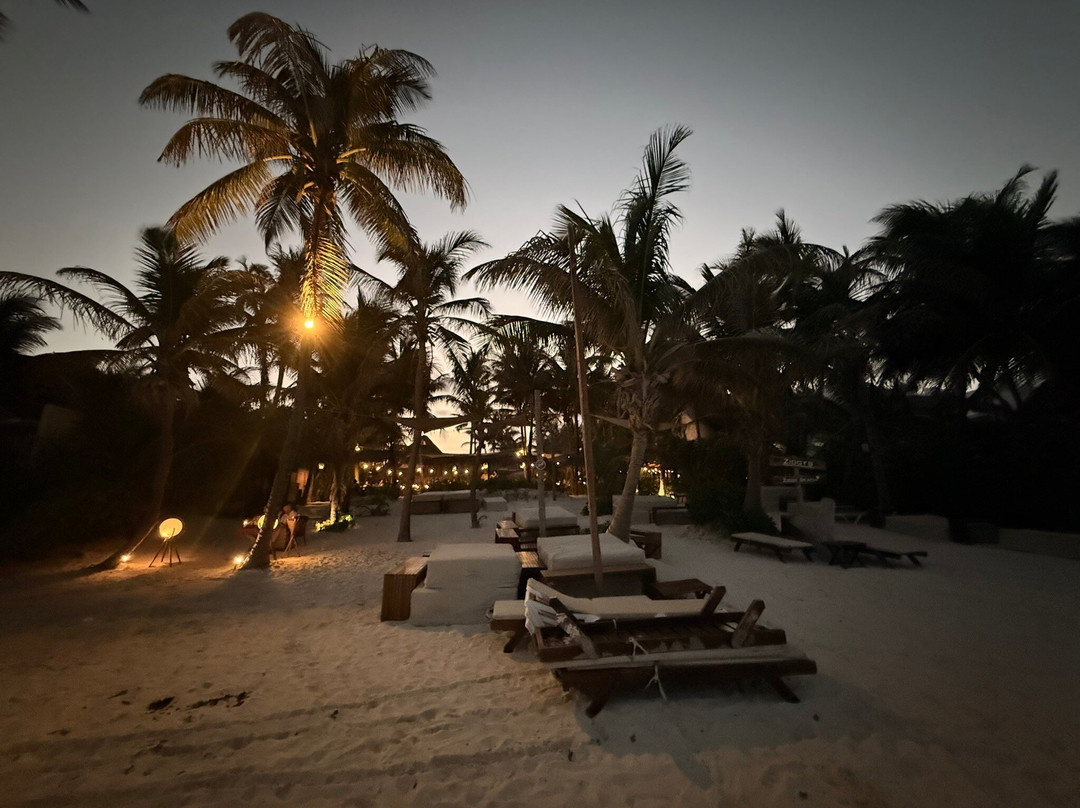 Ziggy’s Beach Club-图伦必去景点