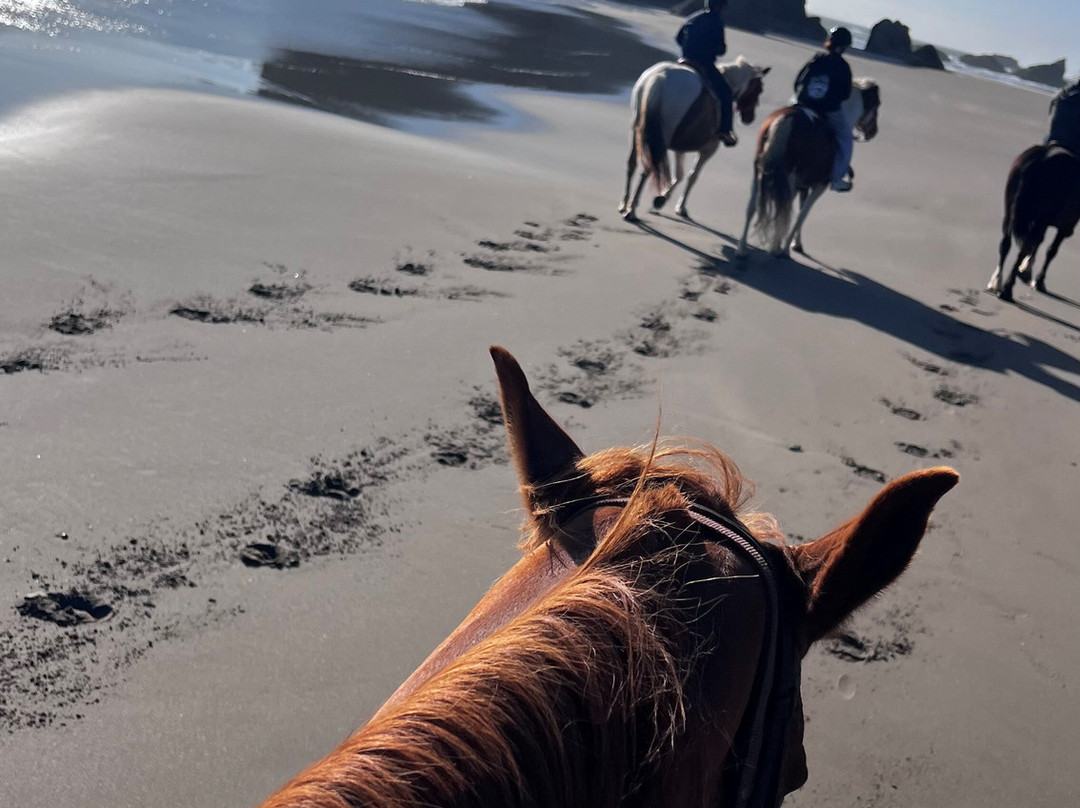 Bandon Beach Riding Stables-班登必去景点
