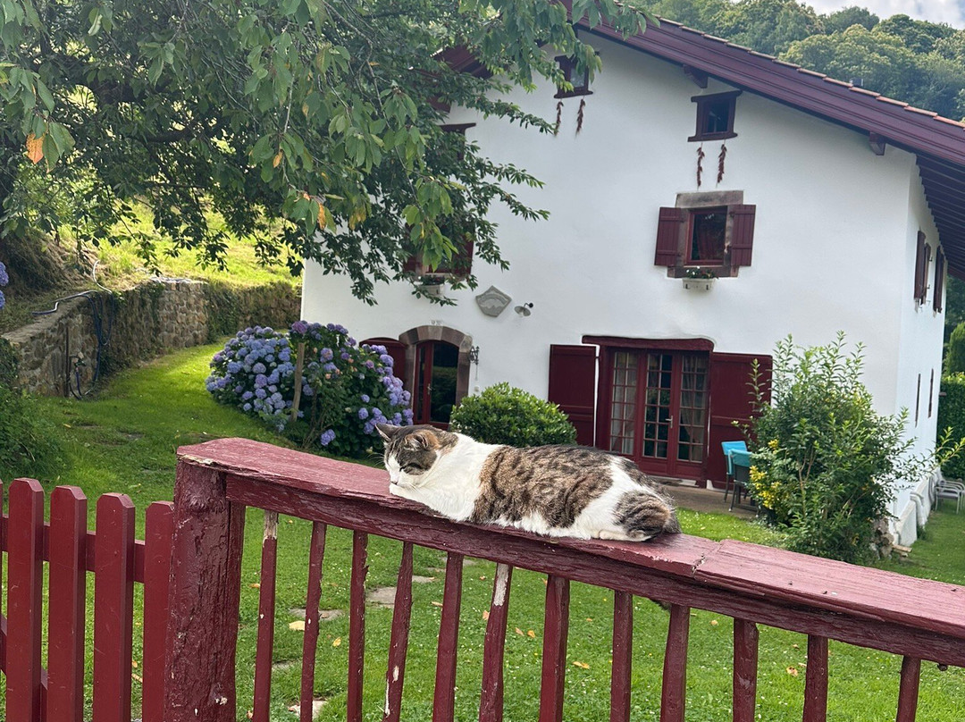 Chambres D'hotes Idiartekoborda主图