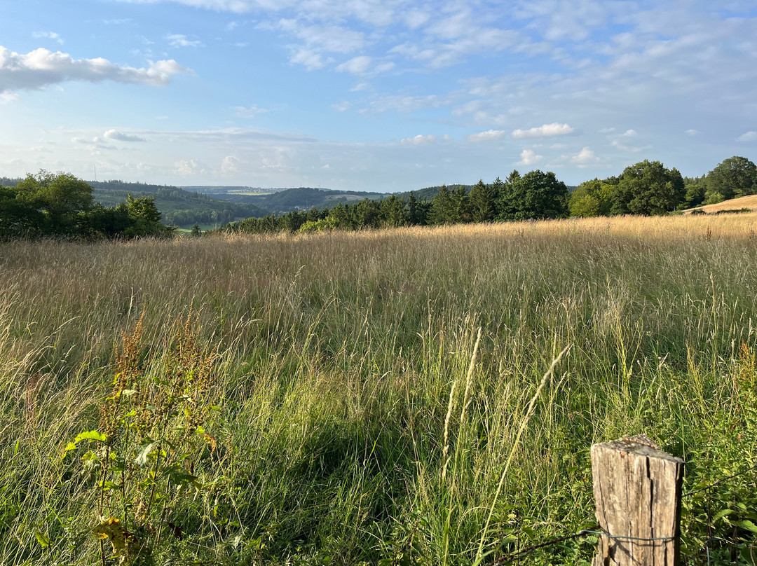维赫特乡村酒店主图