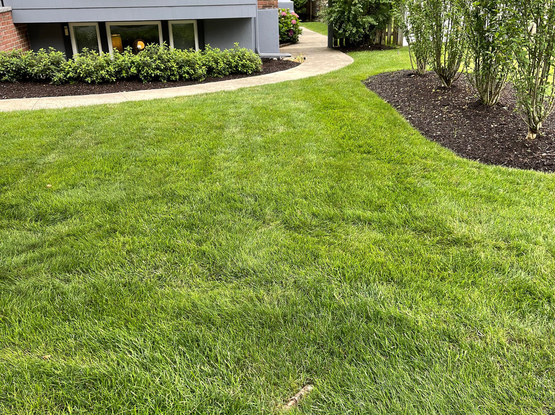 Wagon Wheel-列克星敦必去景点