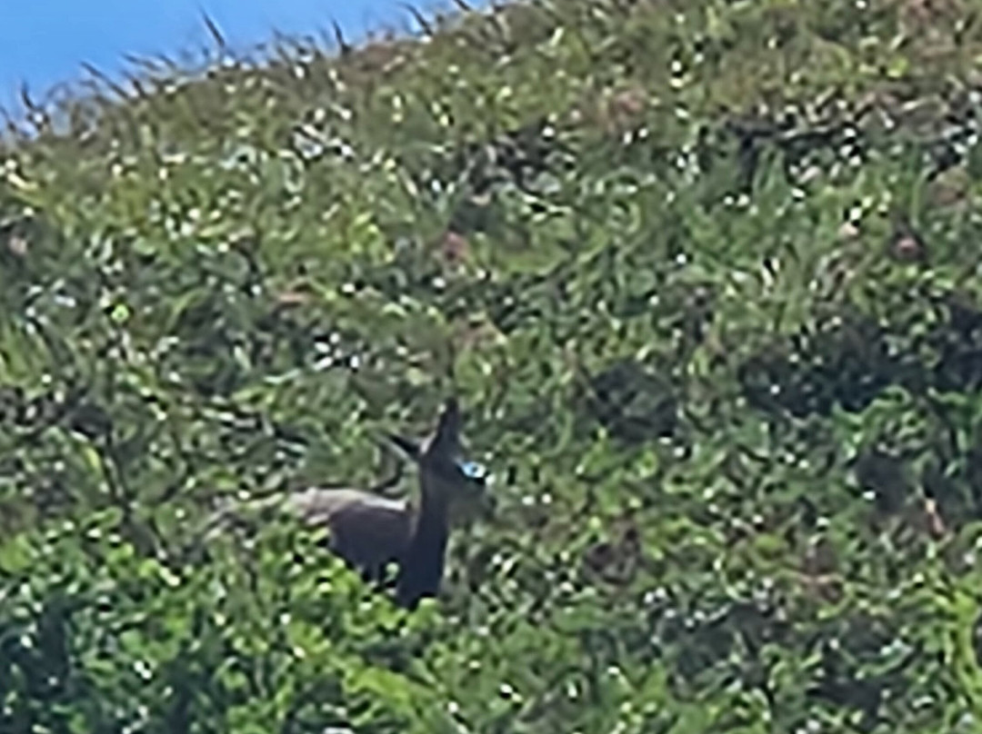 Hotel Pension Sonnleiten主图