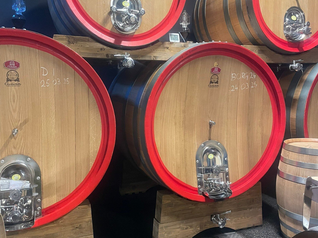 Damjanic Wines-波雷奇必去景点