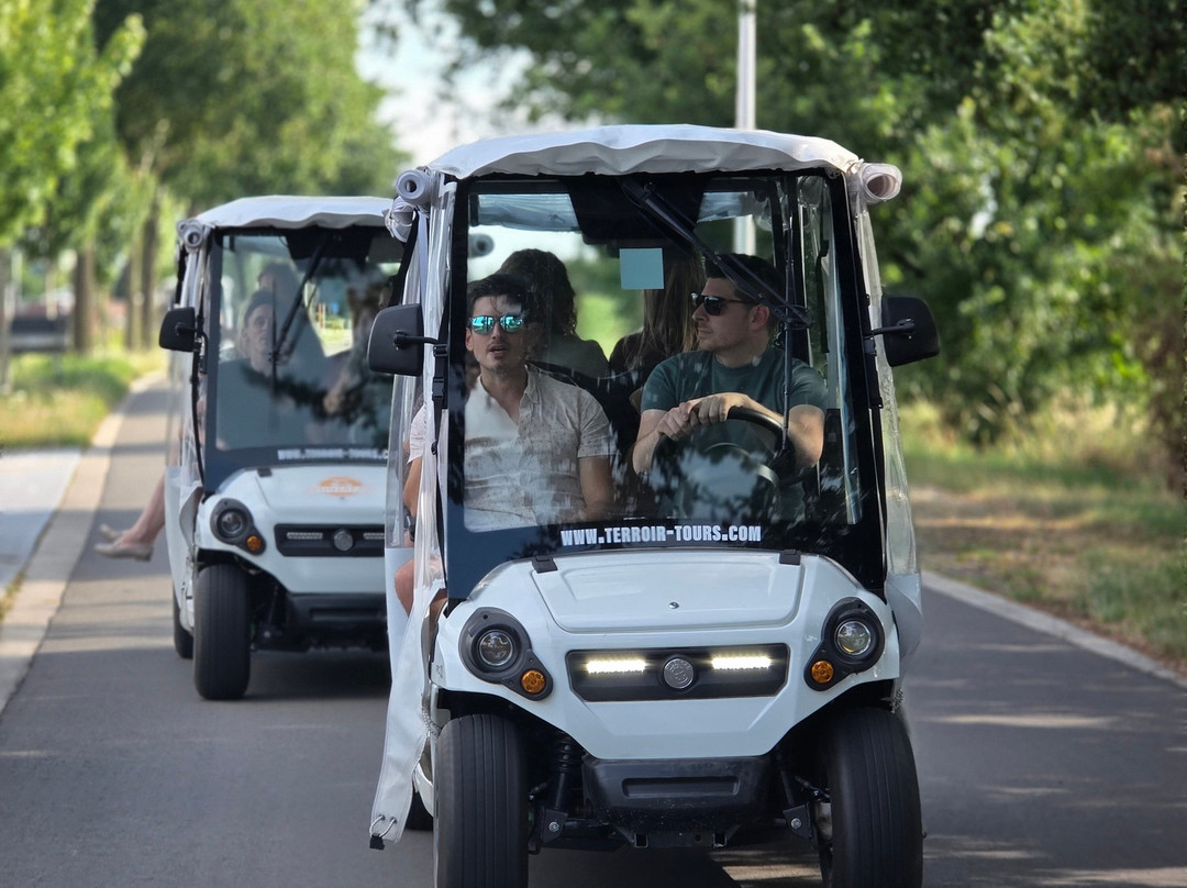 Wijnsafari In De Maasvallei