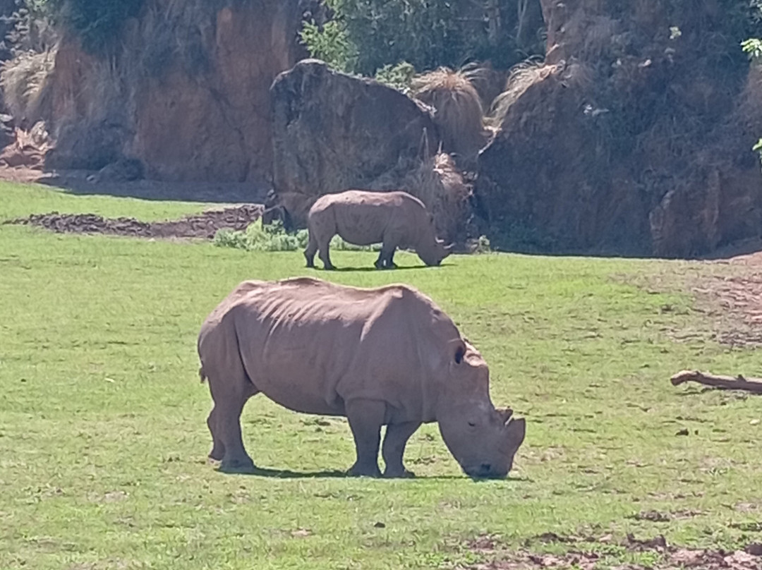 Parque de la Naturaleza de Cabarceno-Obregon必去景点