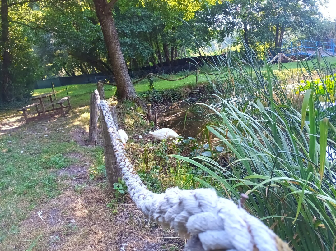 Parco Naturale Camping Europa
