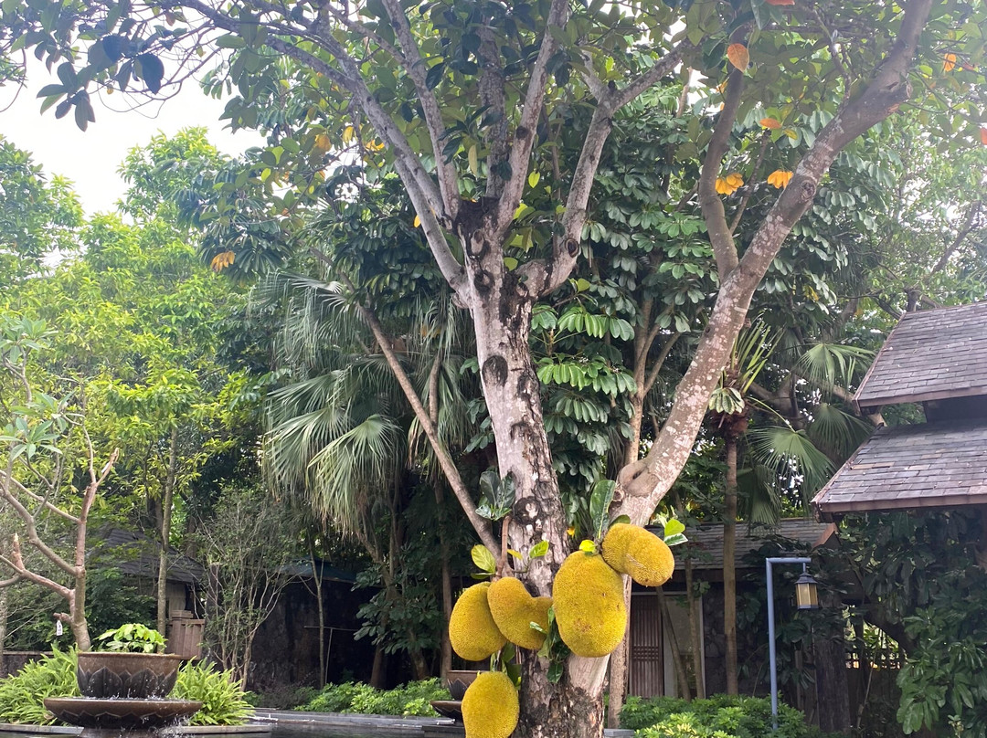 中山温泉-中山市必去景点