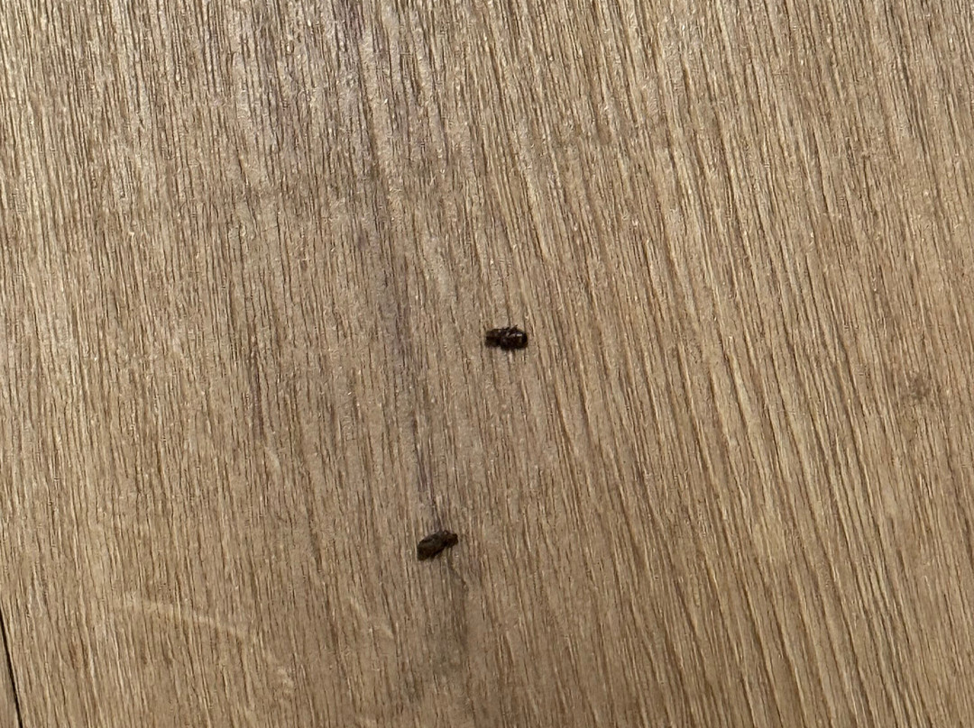 TownePlace Suites by Marriott El Centro主图