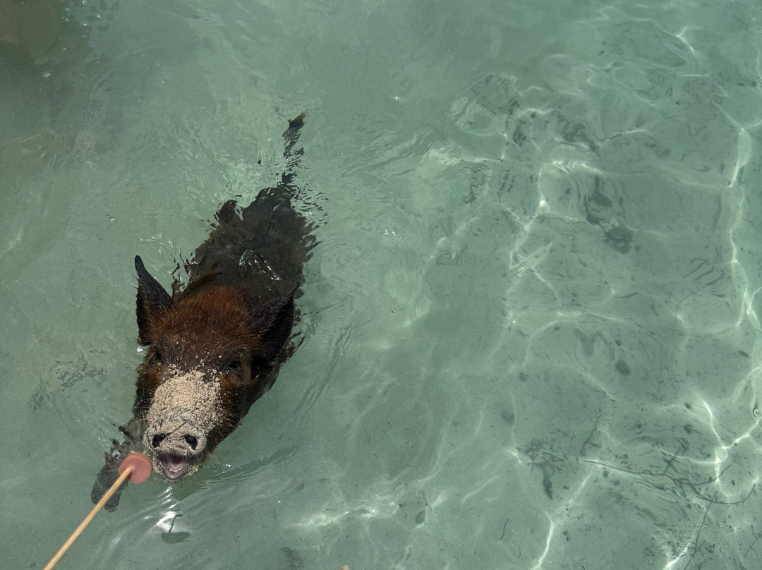 Spanish Wells SeaVentures Excursions | Harbour Island, Eleuthera, Bahamas Guide-Spanish Wells必去景点