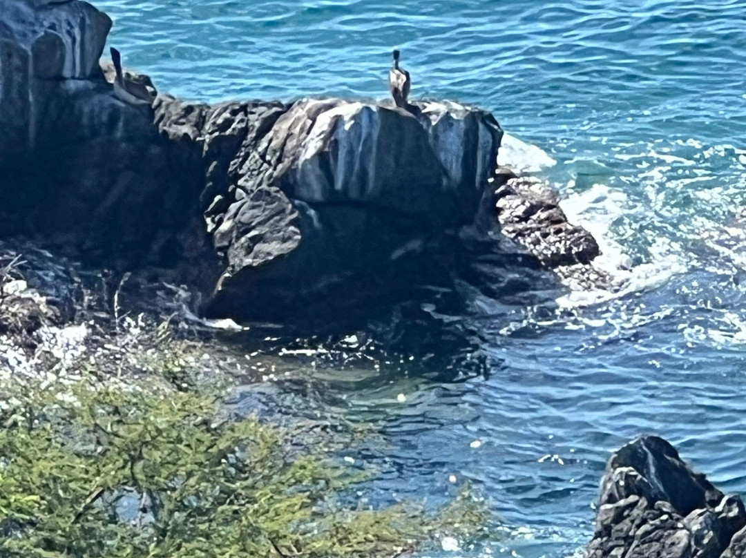 Fort Amsterdam-菲利普斯堡必去景点