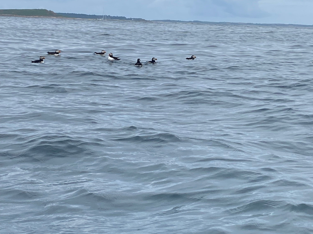 St Agnes Watersports-St Agnes必去景点