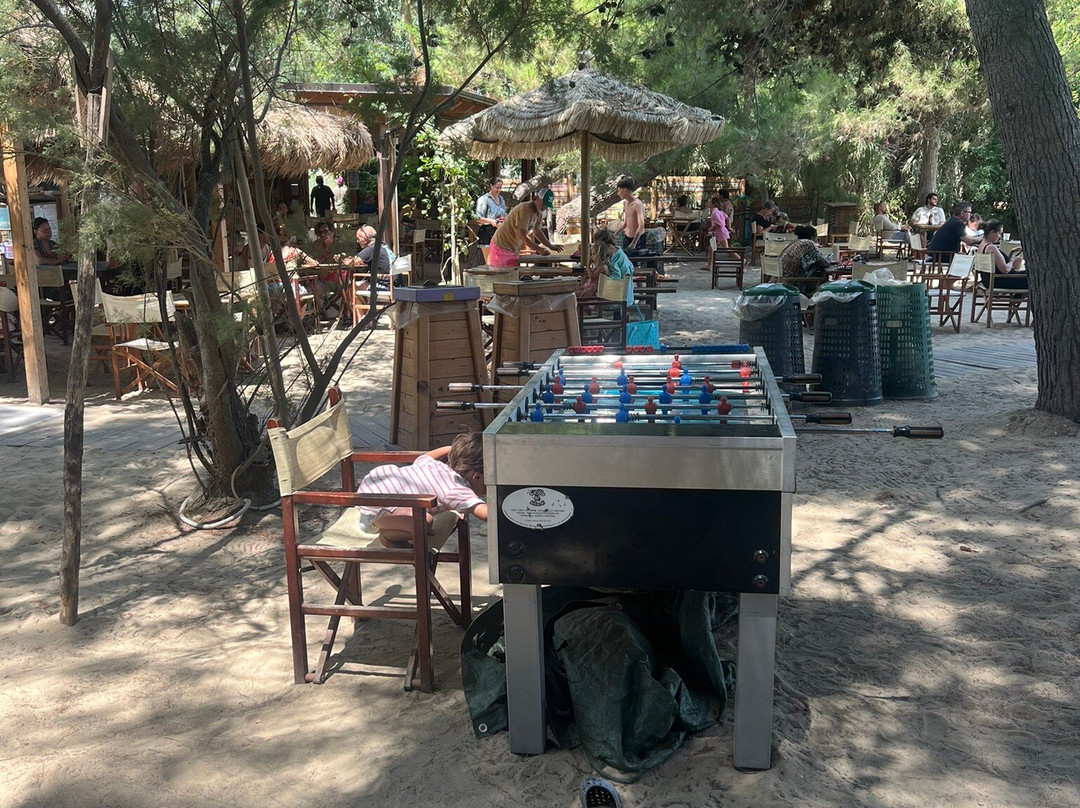 Eucaliptus Beach da Cilli-Pineto必去景点