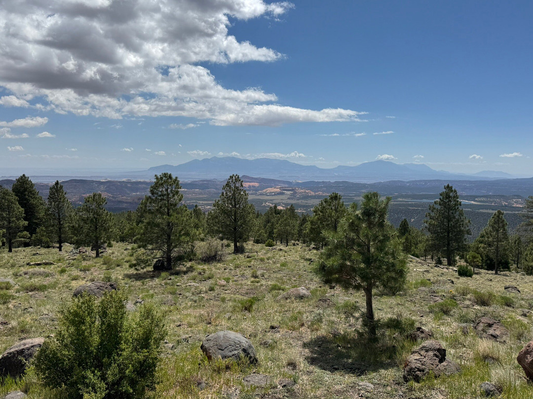 Scenic Byway 12-埃斯卡兰特必去景点