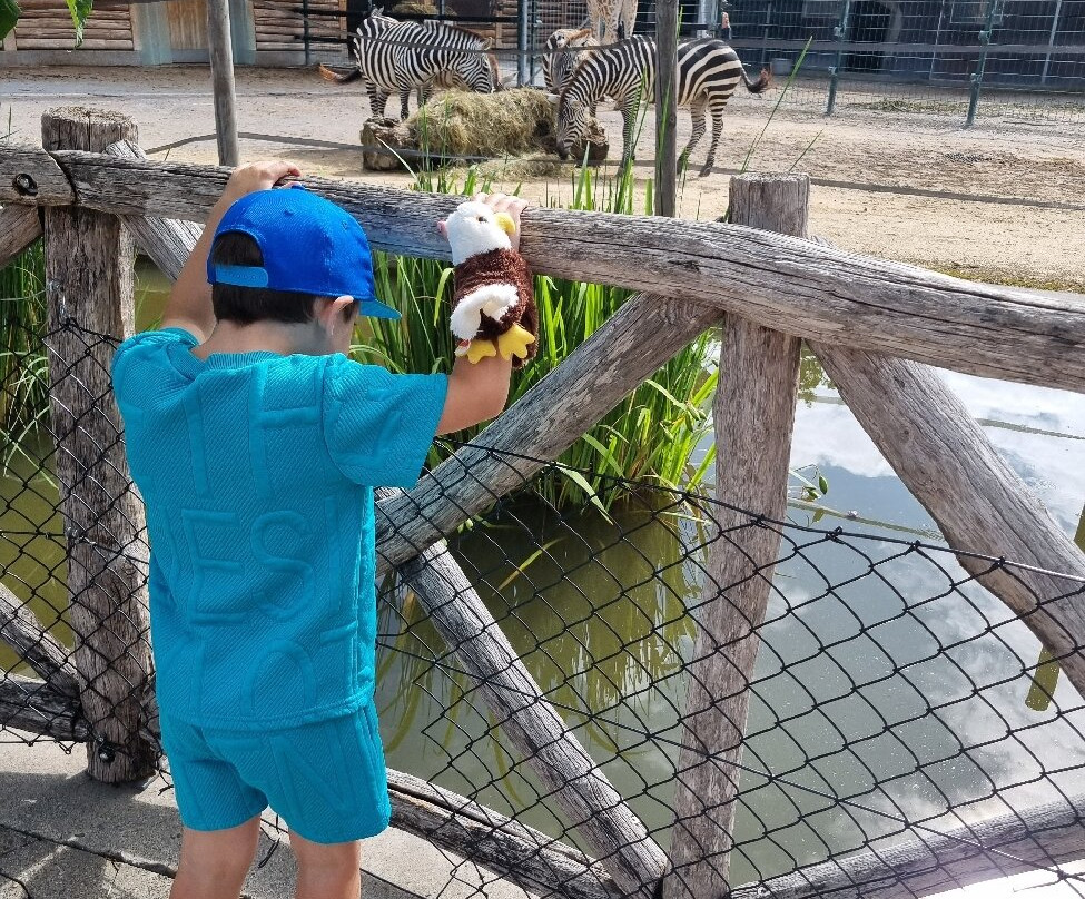 Knies Kinderzoo Rapperswil-拉珀斯维尔必去景点
