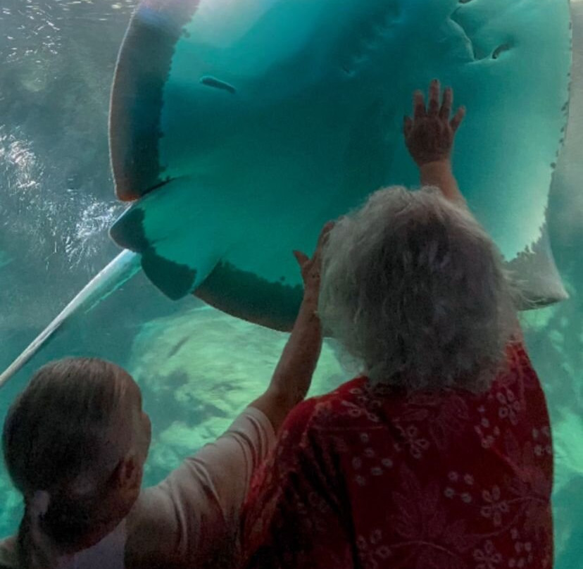 Municipal Aquarium of Santos-桑托斯必去景点