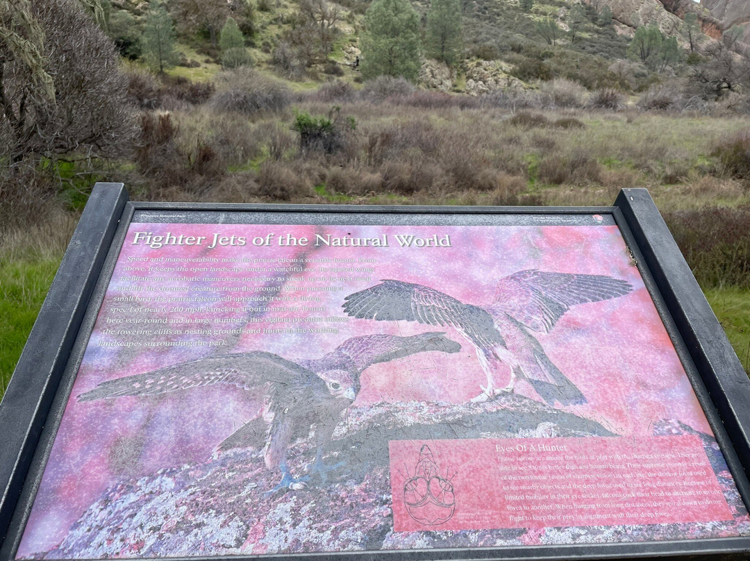 Pinnacles National Park West Entrance-Soledad必去景点