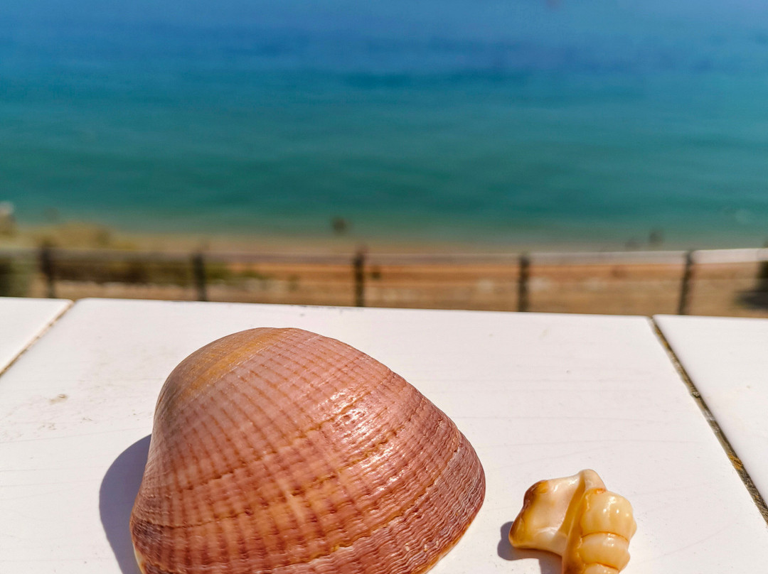 The Algarve Experience – Algarve airport Transfers-阿尔布赞拉必去景点