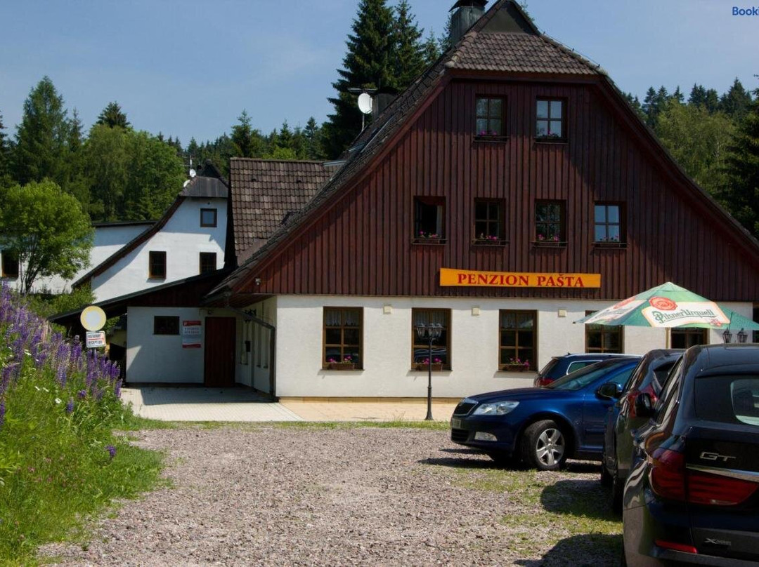 Ricky V Orlickych Horach酒店住宿-Penzion Pasta