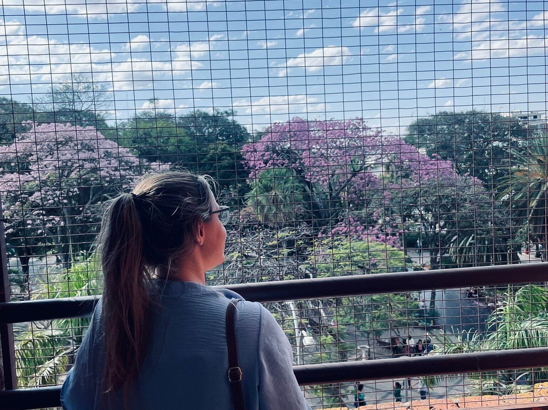 9 月24 日广场-圣克鲁斯省必去景点