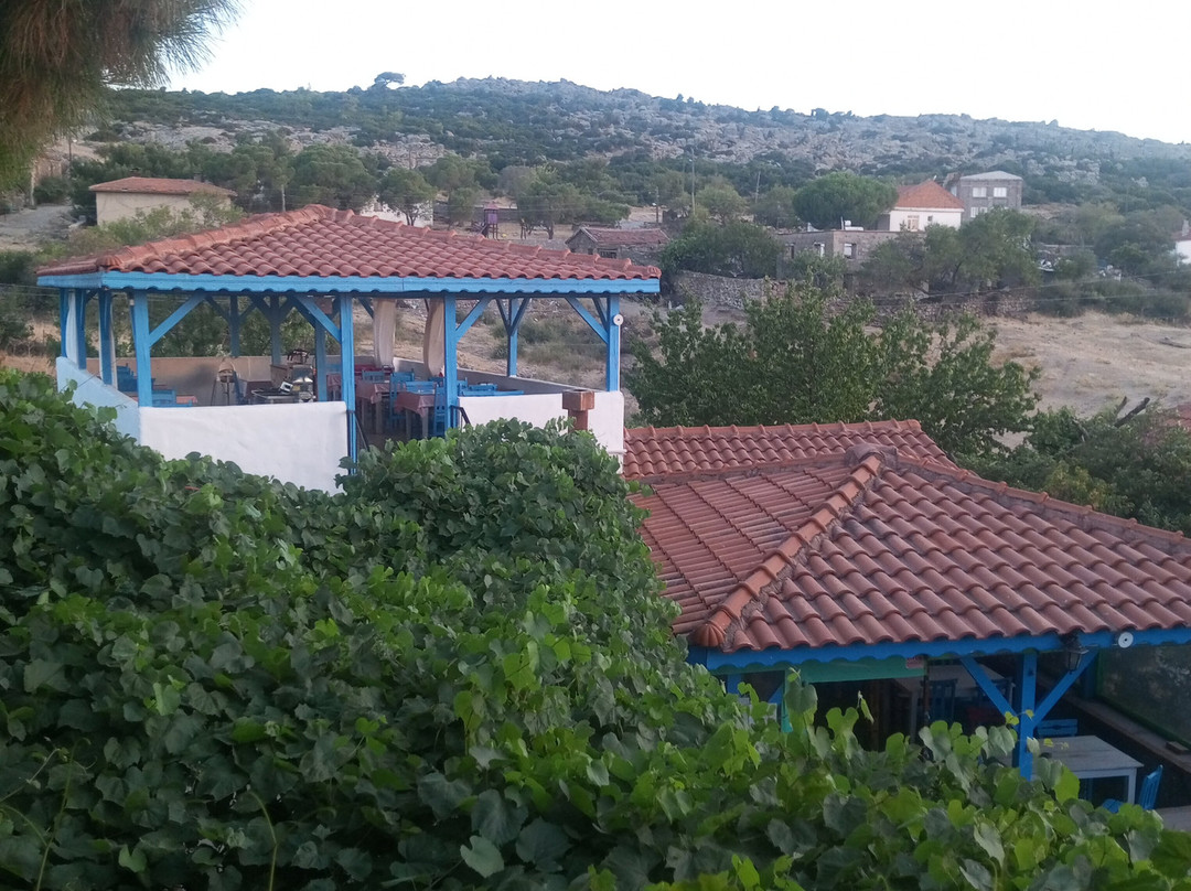 Alterna Koy Evi主图