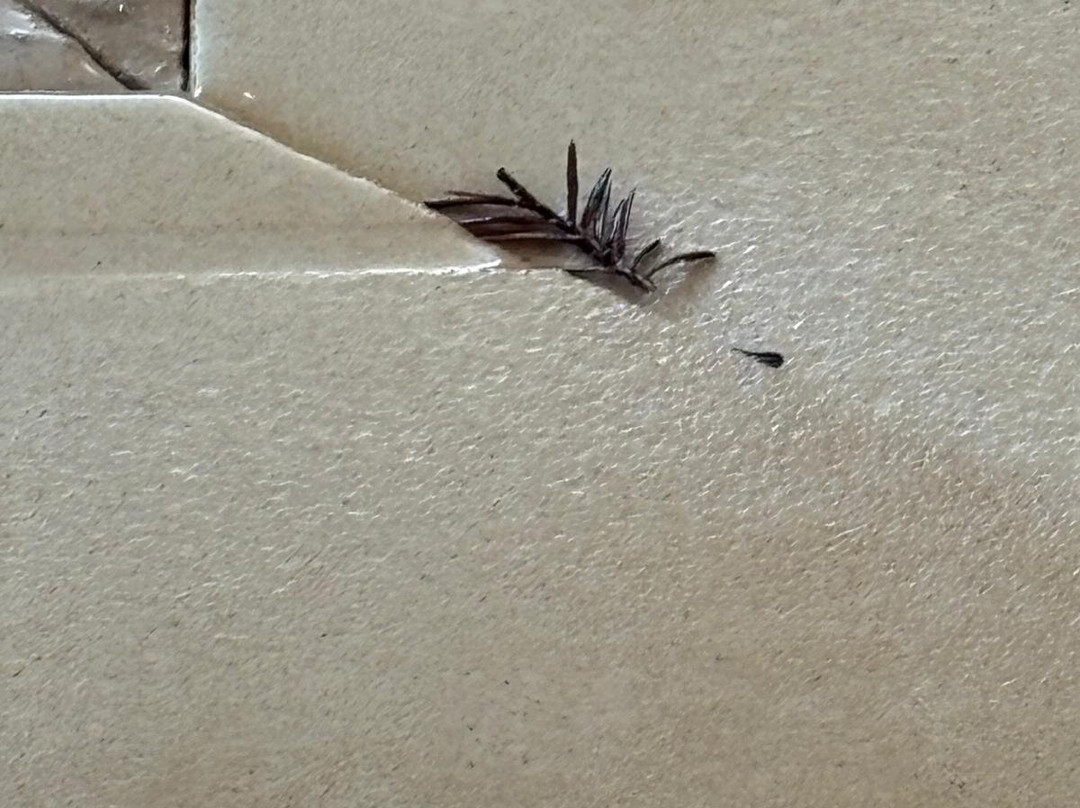 Ockenden Manor Spa-Cuckfield必去景点