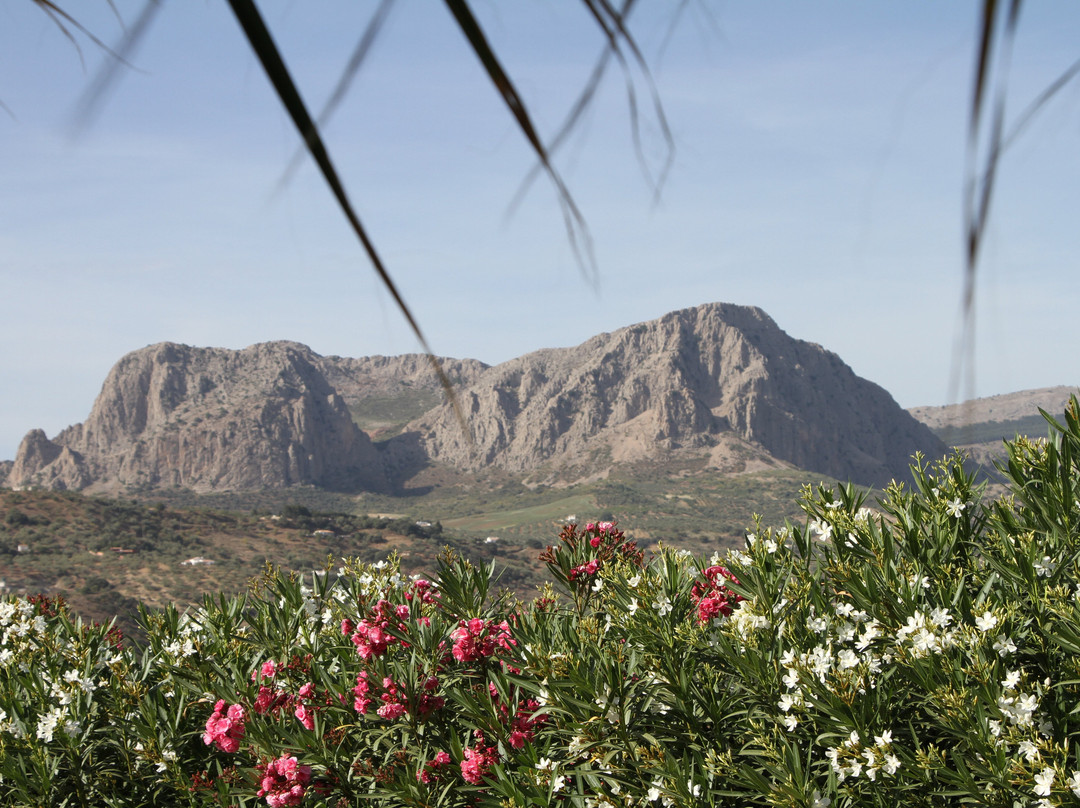 B&b Hacienda Riogordo主图