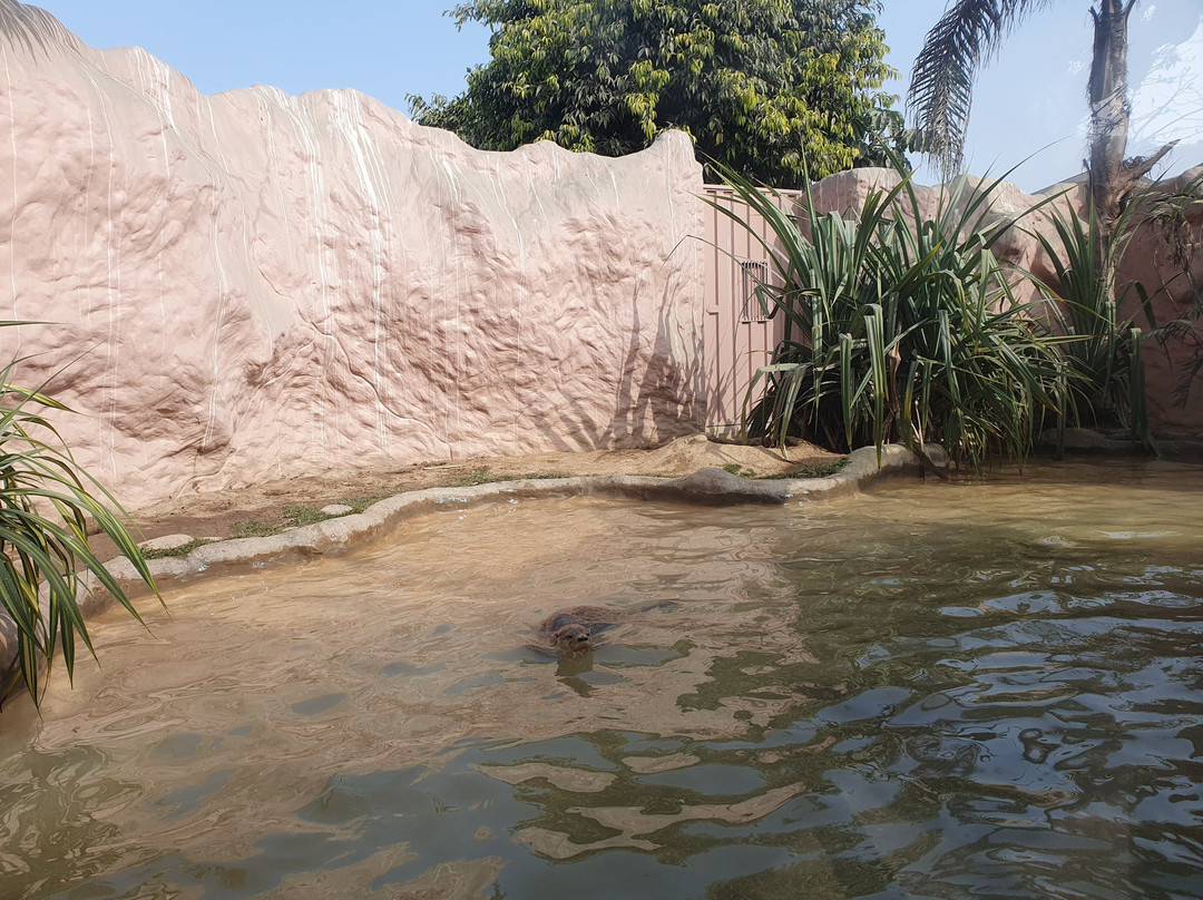 Parque Zoologico Huachipa-利马必去景点