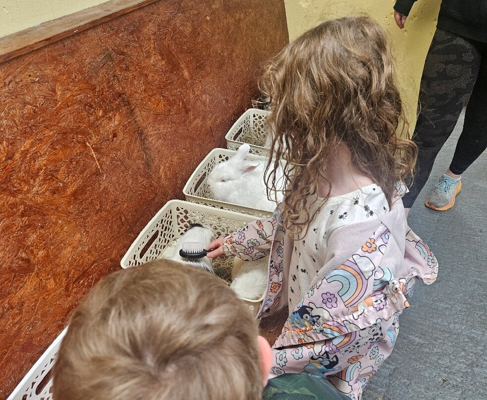 Fermanagh Fun Farm-Lisbellaw必去景点