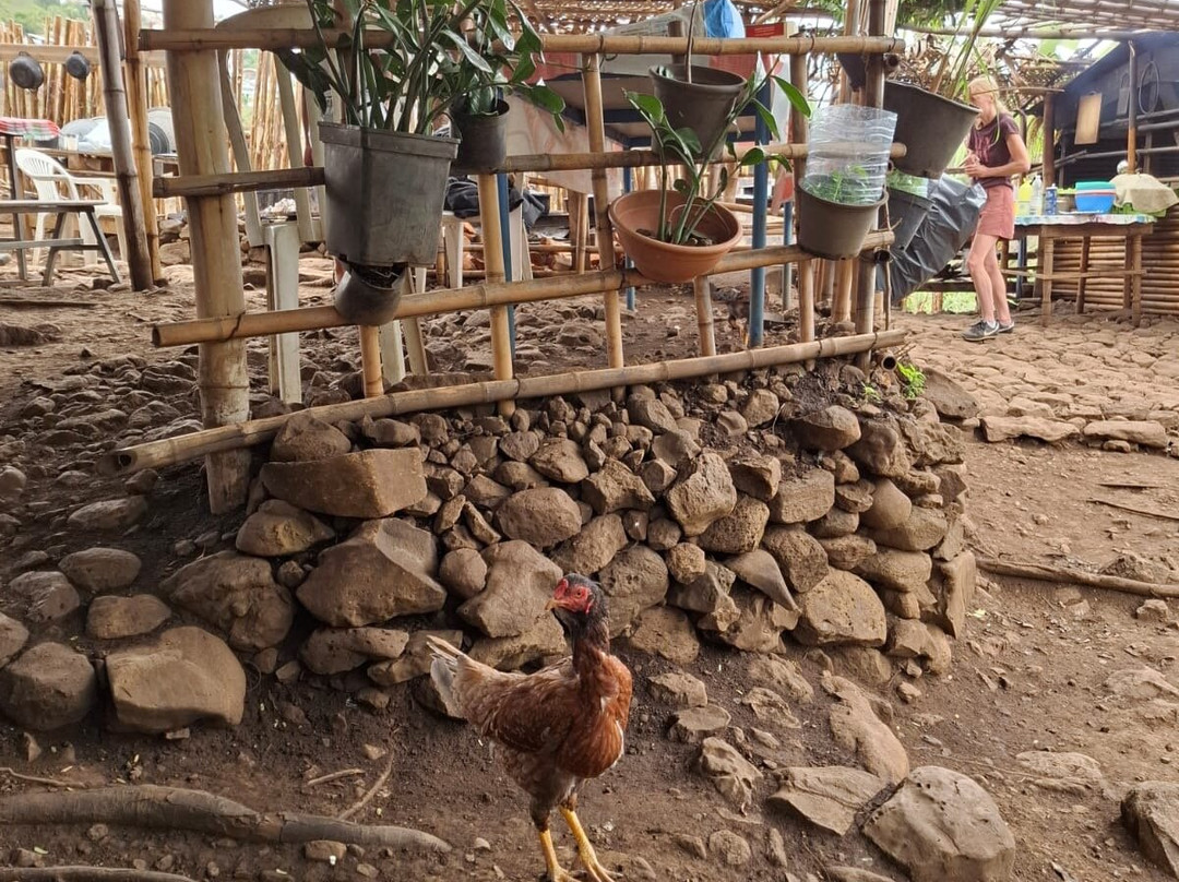 Chemin Pavé de Bellemène-圣保罗必去景点