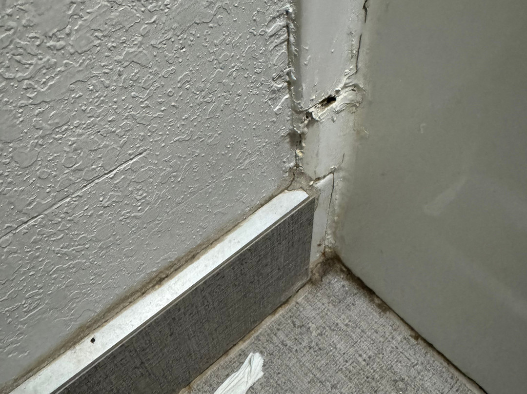 芝加哥欧克布鲁克假日酒店主图